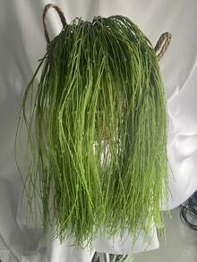 1/3pcs Oversized Chinese-Style Green Willow Artificial Hanging Decor - Durable Plastic Foliage For Wedding, Garden, Yard, Home & Outdoor Party Decorations - No Electricity Needed,Christmas Year-Round Festive Ambiance, Outdoor Decorations, Garden Enhancement, Elegant Ambiance, Easy Installation, Wedding Decorations, Traditional Ornament Decorative Vines Fall Decor Artificial Decorative Plants