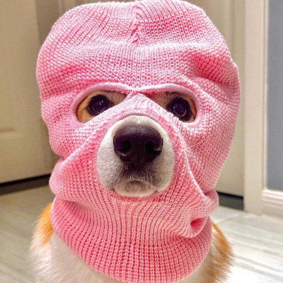 1 件可爱狗头帽，创意宠物头饰，摄影道具，个性化 3 孔保暖针织拉法帽狗用面罩