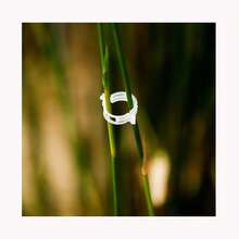 蔬菜水果番茄夹子，塑料藤蔓夹，番茄固定夹 - 綠色 - 查看 3