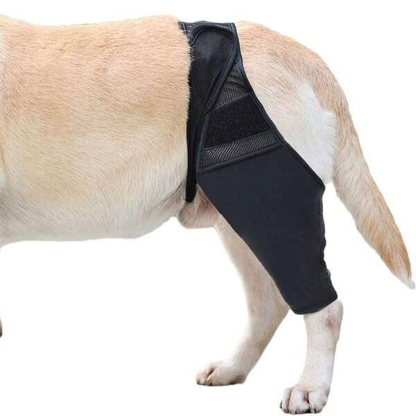 Dog Leg Injury Assistance Strap, Dog Leg Brace, Dog Knee Rehabilitation Strap, Joint Protection Wrap, Pet Protective Gear