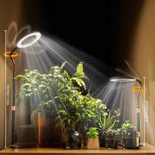 植物生长灯，用于室内植物生长的 LED 植物灯，带底座的全光谱台面植物生长灯，3 小时/9 小时/12 小时自动定时器，10 级调光，高度可调