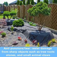 2 * 2M, 3 * 3M, 6 * 6M Polyethylene Film For Water Landscape Applications - Black - View 1