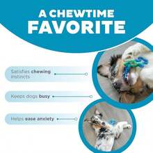 Outward Hound Cutie Chewies Hedgehog Dental Dog Chew Toy, Blue - 顏色A - 查看 6
