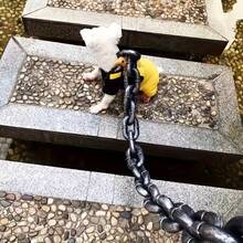 Halloween Themed Funny Pet Leash, Suitable For Medium And Small Dogs, Designed For Outdoor Walking And Training, Made Of Lightweight Polypropylene Material With Chain Design