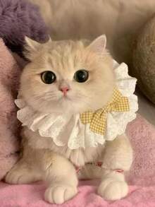 1 Pure Cotton Lace Scarf For Cats, Cat Accessories, Dog Accessories, Cat Items, Pet Bows, Cute Decorative Bibs, Cat Bow Ties, Halloween Decorative Cat Collars