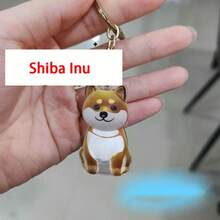 1pc Souvenirs, New Pet Hair Souvenirs Keychain