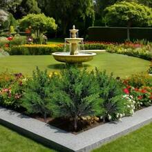 1pc Artificial Cedar, Fake Pine Wood Shaped Tree, Real Green Christmas Pine, Includes Planting Stake, Suitable For Indoor/Outdoor Home Decor, Garden Decoration, Realistic Fake Evergreen Christmas Tree For Holiday Table Center, Fireplace, Wall, Indoor And Outdoor Christmas Decoration