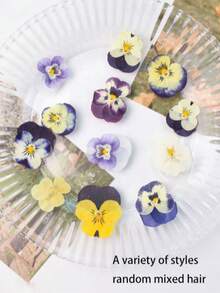 64pcs/32pcs/16pcs Mixed Natural Dried Flowers, Real Flower Plant Specimens Pressed Flowers, Can Be DIY Used For Bookmarks, Ornaments, Soap, Mobile Phone Cases, Mirror Decoration, Glue Drops And Other Supplies. Very Suitable For Women, Mother's Birthday Gifts, Holiday Gifts, Gifts From Classmates And Teachers.