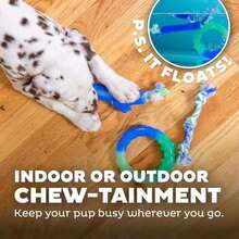 Outward Hound Cutie Chewies Hedgehog Dental Dog Chew Toy, Blue - ColorE - 查看 6
