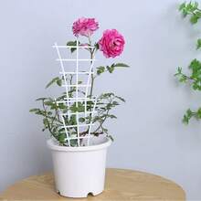 植物攀爬架，盆栽支架，藤蔓植物及可叠放植物支架，兰花、玫瑰花盆支架，人造植物支架，塑料支架 - 彩色 - 查看 17