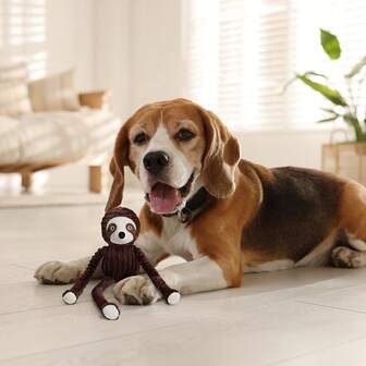 树懒造型大型犬玩具，会发出吱吱声和沙沙声的毛绒咀嚼玩具，耐用的拔河玩具，适合小型、中型和大型犬的互动幼犬玩具