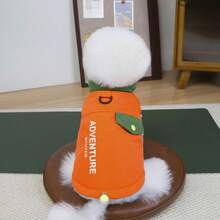 25 قطعة ملابس قطنية للحيوانات الأليفة مطبوع عليها حروف ثلاثية الألوان، معطف كلب مبطن بالأزهار السميك، ملابس كلاب صغيرة، سترة مبطنة جديدة للخريف/الشتاء، سترة بطراز بريطاني - أخضر - مشاهدة 14