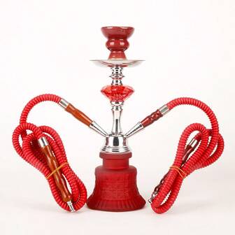 Vattenpipsset med 2 slangar, vattenpipa – 12,8" vattenpipskombination, shisha, vattenpipsset med förstansad folie, vattenpipsskål, engångsmunstycke, tång, bärbar vattenpipa - Vattenpipsmaskiner
