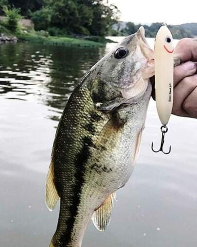 Heddon Super Spook - Señuelo de Pesca para Agua Salada y Agua Dulce