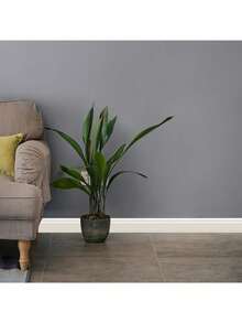 1 卷 9.8 厘米 X 200 厘米自粘式柔性踢脚线墙基装饰边条、墙基造型、背景框架保护边缘边条