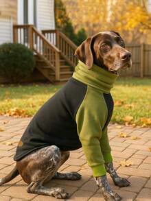 1 件时尚宠物连帽衫外套柔软拉绒舒适针织衫，适合中大型犬，加厚高领设计弹性保暖小狗冬季服装，适合拉布拉多罗威纳犬比格犬