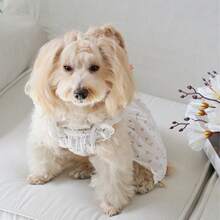 1pc Pet Dress, Pet Apparel For Cats & Dogs, Countryside French Cherry Blossom Ditsy Floral Cap Sleeve Dress, All Season