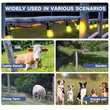 20 Stücke selbstbohrende elektrische Zaunhalter für Holzpfosten (schwarz/rot) - inklusive Bohrerbuchse-Werkzeug | Geflügel, Garten Landwirtschaftsbedarf