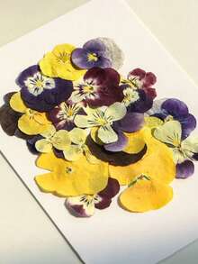 64pcs/32pcs/16pcs Mixed Natural Dried Flowers, Real Flower Plant Specimens Pressed Flowers, Can Be DIY Used For Bookmarks, Ornaments, Soap, Mobile Phone Cases, Mirror Decoration, Glue Drops And Other Supplies. Very Suitable For Women, Mother's Birthday Gifts, Holiday Gifts, Gifts From Classmates And Teachers.