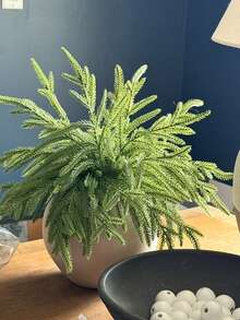 24 Pezzi di rami artificiali di pino di Norfolk, rami di pino finti per vasi, decorazioni natalizie finte, rametti finti per ghirlande, corone, alberi, decorazioni natalizie fai-da-te per autunno/inverno, decorazioni per la casa, decorazioni per la stanza, decorazioni da tavolo, San Valentino, regali, compleanni, lauree