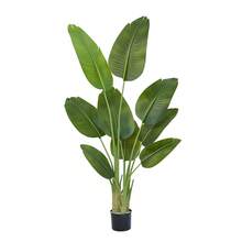 5FT Bird Of Paradise Artificial Plant Decor - Faux Plant Indoor Tall Fake Tree Artificial For Home Living Room Bedroom Office Live Streams Corner Decor Modern Greenery Artificial Tree