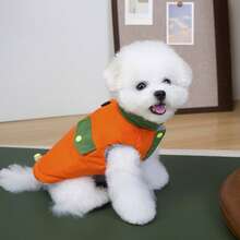 25 قطعة ملابس قطنية للحيوانات الأليفة مطبوع عليها حروف ثلاثية الألوان، معطف كلب مبطن بالأزهار السميك، ملابس كلاب صغيرة، سترة مبطنة جديدة للخريف/الشتاء، سترة بطراز بريطاني - أخضر - مشاهدة 5