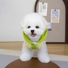 25mm Regenbogen Baumwoll-Geschirr Weste, Haustier Baumwoll-Weste, Hundemode, Neue Katzenkleidung, Tierbekleidung, Verstärkte Blumen-Hundemantel, Kleine Hundemode, Herbst/Winter Neu, Verstärkte Weste, Britischer Stil Weste, Gepolsterter Mantel