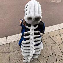 1个趣味恐龙骨架头饰帽，角色扮演服装，毛绒玩具，创意恶搞礼物，万圣节惊喜，霸王龙 - 灰色 - 查看 9