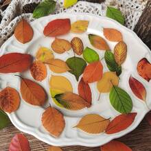40pcs/1pc, Retro Plant Leaf Sticker Maple Leaves Decorative Sticker Hand Account DIY Decoration Scrapbooking Photo Album Craft, Junk Journal Decor Supplies, DIY Junk Journal Decoration Label Stickersers