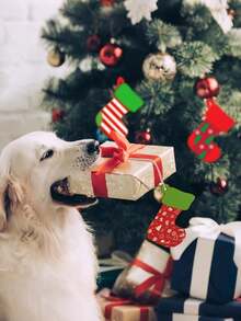 20pcs/10pcs Of Unfinished Wooden Christmas Ornaments, Wooden Christmas Tree Hanging Ornaments For DIY Handicrafts, Christmas Stockings, DIY Wooden Handicraft Hanging Decoration Kits, Wooden Plate Decorations, Home Autumn And Winter, Christmas Hanging Ornaments, Christmas Hanging Decorations, Handicrafts Hanging Decorations