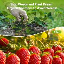 Weeed Barrier Fabric 3.2oz Heavy Duty - 4ft X 300ft Landscape Fabric | Easy Install & Rugged Plastic Ground Cover Weeed Barrier With UV Protection For Gardens, Landscaping Fabric - 黑色 - 查看 4