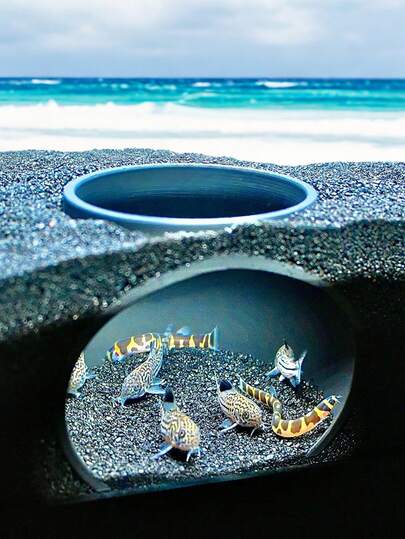 Aquarium Cave Dome | Observe Fish And Shrimp In Gravel Tunnel | Decorative Hideaway Suitable For Coral Fish, Kuhli Loach, Dwarf Crayfish, Pleco