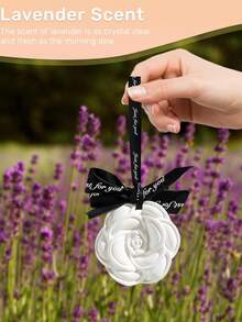 6 件持久香味陶瓷石，汽车、衣柜、橱柜、浴室空气清新剂，男女通用薰衣草香味礼物（随机悬挂绳）