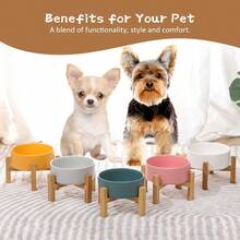 Grey Ceramic Elevated Raised Cat BowlsCat Food Dish With Stand Raised Cat Food Or Water Bowls Anti Vomiting Pet Bowl With Anti Slip Rubber Pad Str Free For Cats And Small Dogs400ML 13.5OZ