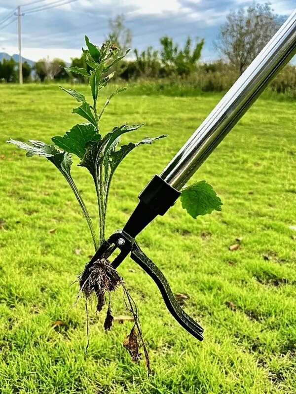 1pc Heavy Duty Stainless Steel Metal Weeder With 4-Claw Head - Ergonomic Full Steel Handle, No Bending, Pulling Or Kneeling Required To Easily Remove Weeds - Gardening Tool For Backyard, Lawn And Flower Beds, Stand-Up Weeding Tool Manual Puller Root Remover Detachable Garden Puller Remover Manual No Bending Root Puller Claw