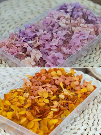 1/5 盒什锦人造刺绣干花（粉色、蓝色、紫色、绿色、黄色、橙色、红色、黑色）| 天然干花，适用于 DIY 手工婚礼鞋夹、乡村家居装饰、节日中心装饰 | 持久耐用，无需维护