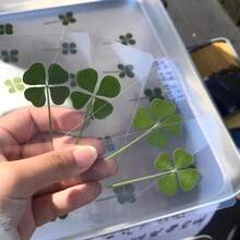 UV Resin 4-Leaf Clover Bookmark, Transparent Wishing Card, Ideal For Bookmarks And Decorations, Perfect Holiday Gift