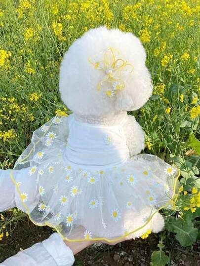 1pc Summer Lightweight Pet Tulle Dress, Suitable For Pomeranians, Bichon Frises, Poodles, Yorkies, Schnauzers And Other Small Dogs