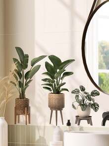 1/2pcs Multi-Size PVC Self-Adhesive Removable Wall Stickers, Minimalist Cactus, Potted Plants, Bird Of Paradise, Succulent Decor Stickers, Suitable For Bedroom, Living Room, Study, Dining Room, Bathroom, Home Wall Decor