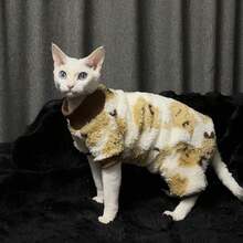 Sphynx Katze Herbst/Winter Kleidung, Dicke warme Fleece bedruckte Pullover für kleine Katzen & Hunde