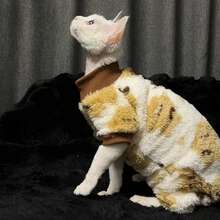 Sphynx Katze Herbst/Winter Kleidung, Dicke warme Fleece bedruckte Pullover für kleine Katzen & Hunde