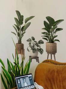 1/2pcs Multi-Size PVC Self-Adhesive Removable Wall Stickers, Minimalist Cactus, Potted Plants, Bird Of Paradise, Succulent Decor Stickers, Suitable For Bedroom, Living Room, Study, Dining Room, Bathroom, Home Wall Decor