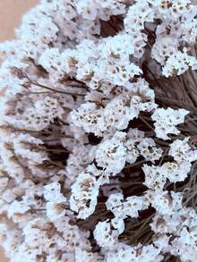 20/50/100/150/300 buc Mini Gypsophila alb-ivoriu și alte flori uscate - pentru artă și meșteșuguri în matrițe de rășină, potrivite pentru accesorii de păr, coroane de nuntă, decorațiuni de masă, decorațiuni interioare