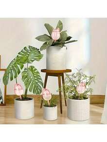 5pcs/Set Pink Tulip Plant Watering Globes, Suitable For Indoor And Outdoor Plants, Automatic Plant Drip Irrigator And Self-Watering - Multicolor - View 10