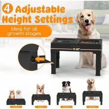 2in1 Elevated Slow Feeder Dog Bowls With No Spill Dog Water Bowl 4 Height Adjustable Raised Dog Bowl NonSlip Dog Food And Water Bowls With Stand For Small Medium Large Dogs Cats And Pets