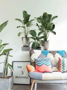 1/2pcs Multi-Size PVC Self-Adhesive Removable Wall Stickers, Minimalist Cactus, Potted Plants, Bird Of Paradise, Succulent Decor Stickers, Suitable For Bedroom, Living Room, Study, Dining Room, Bathroom, Home Wall Decor