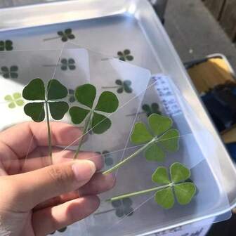 UV Resin 4-Leaf Clover Bookmark, Transparent Wishing Card, Ideal For Bookmarks And Decorations, Perfect Holiday Gift