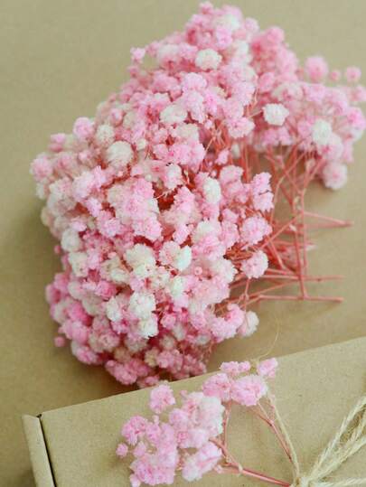 10-150g Mini getrocknete Atemblume & andere getrocknete Blumen - für Harz-Gusskunst und Basteln, elfenbeinweißer Blumenstrauß für Haarzubehör, Hochzeitskränze, Tischdekoration, Heimdekoration