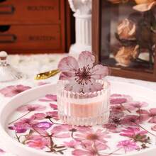 50Pcs Transparent Decor Flower Stickers For Scrapbooking PET Nature Floral Stickers For Journaling Scrapbooking Clear Flower Decals