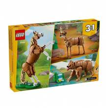 LEGO 積木馬 31166 兒童積木套裝 - 31166 - 查看 6